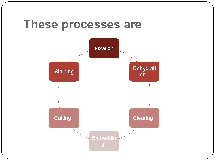 These processes are Fixation Staining Dehydrati on Cutting Clearing Embeddin g 