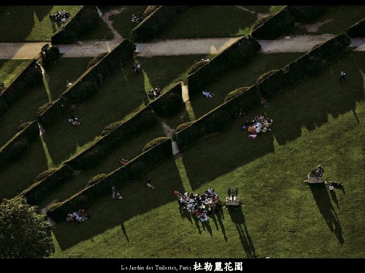 Le Jardin des Tuileries, Paris 杜勒麗花園 