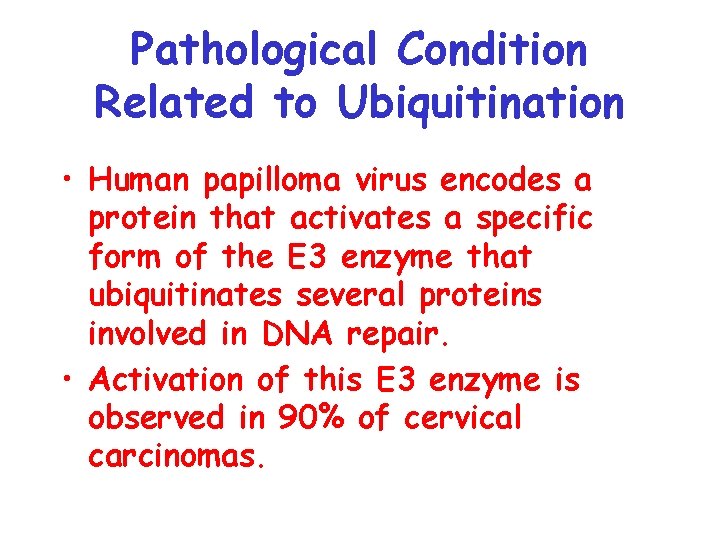 Pathological Condition Related to Ubiquitination • Human papilloma virus encodes a protein that activates