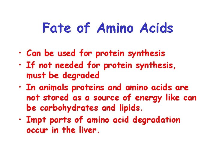 Fate of Amino Acids • Can be used for protein synthesis • If not