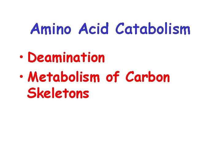 Amino Acid Catabolism • Deamination • Metabolism of Carbon Skeletons 