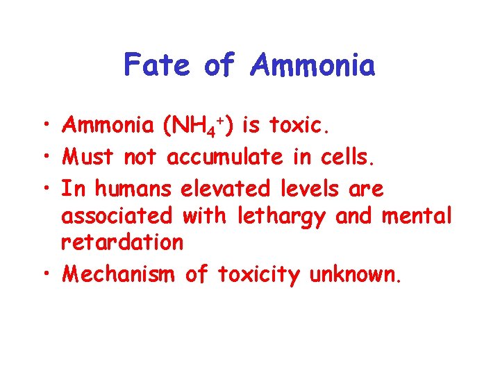 Fate of Ammonia • Ammonia (NH 4+) is toxic. • Must not accumulate in