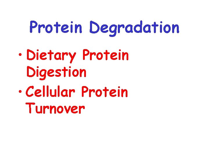 Protein Degradation • Dietary Protein Digestion • Cellular Protein Turnover 