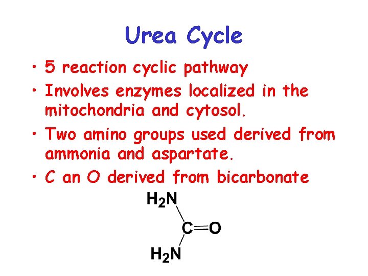 Urea Cycle • 5 reaction cyclic pathway • Involves enzymes localized in the mitochondria