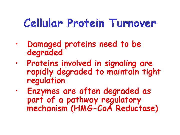 Cellular Protein Turnover • • • Damaged proteins need to be degraded Proteins involved