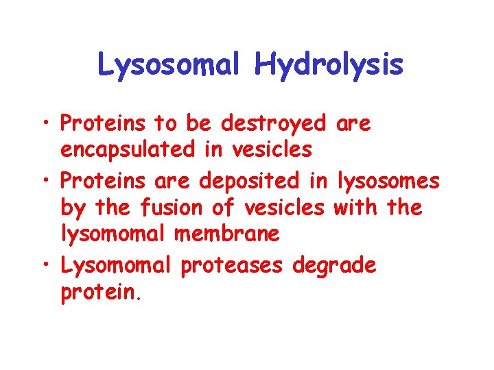 Lysosomal Hydrolysis • Proteins to be destroyed are encapsulated in vesicles • Proteins are