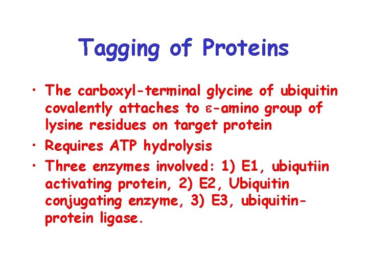 Tagging of Proteins • The carboxyl-terminal glycine of ubiquitin covalently attaches to e-amino group
