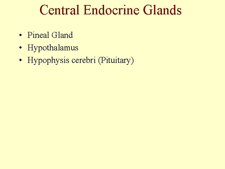 Central Endocrine Glands • Pineal Gland • Hypothalamus • Hypophysis cerebri (Pituitary) 