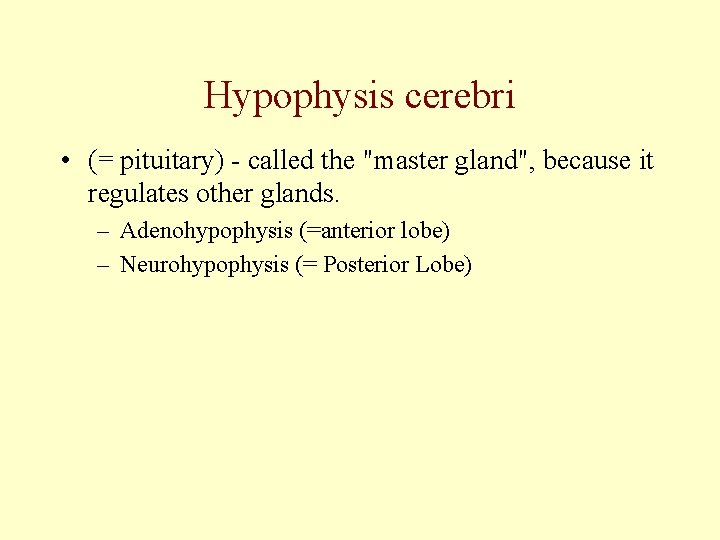 Hypophysis cerebri • (= pituitary) - called the "master gland", because it regulates other