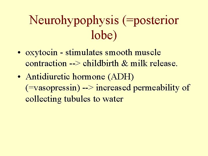 Neurohypophysis (=posterior lobe) • oxytocin - stimulates smooth muscle contraction --> childbirth & milk