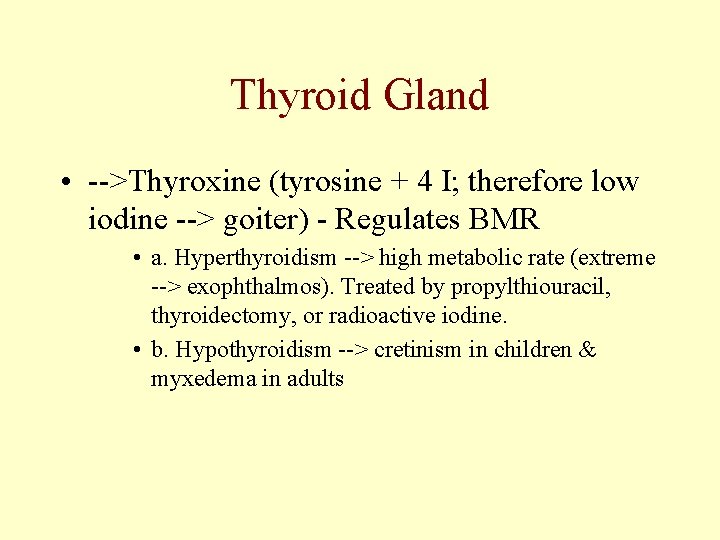 Thyroid Gland • -->Thyroxine (tyrosine + 4 I; therefore low iodine --> goiter) -