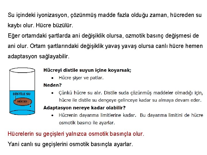 Su içindeki iyonizasyon, çözünmüş madde fazla olduğu zaman, hücreden su kaybı olur. Hücre büzülür.