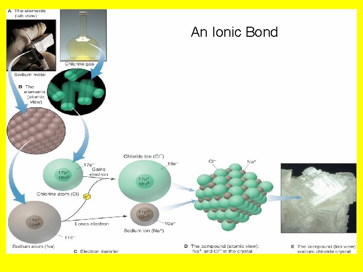 An Ionic Bond 