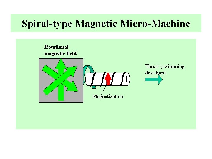 Spiral-type Magnetic Micro-Machine Rotational magnetic field Thrust (swimming direction) Magnetization 