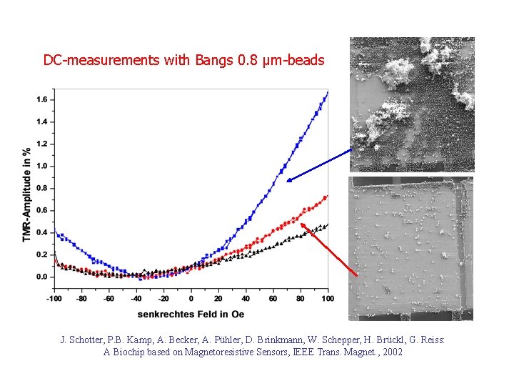 DC-measurements with Bangs 0. 8 µm-beads J. Schotter, P. B. Kamp, A. Becker, A.