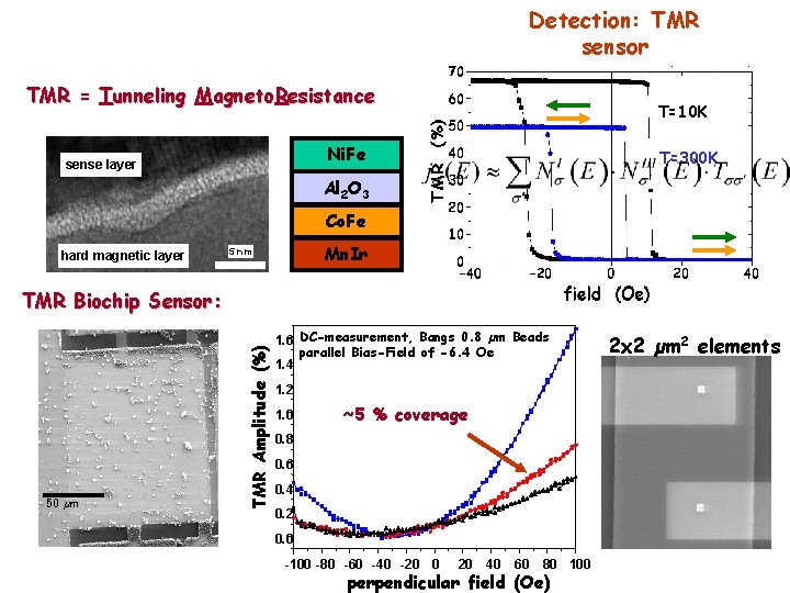 Detection: TMR sensor TMR = Tunneling Magneto. Resistance T=10 K Ni. Fe sense layer