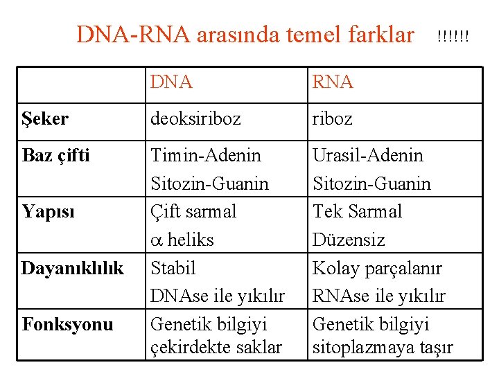 DNA-RNA arasında temel farklar !!!!!! DNA RNA Şeker deoksiriboz Baz çifti Timin-Adenin Sitozin-Guanin Çift