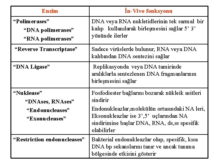 Enzim İn-Vivo fonksyonu “Polimerases” “DNA polimerases” “RNA polimerases” DNA veya RNA nukletidlerinin tek sarmal