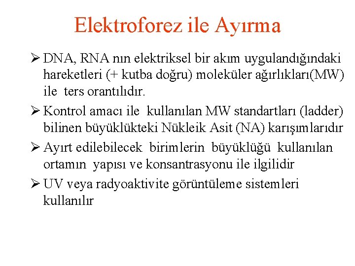 Elektroforez ile Ayırma Ø DNA, RNA nın elektriksel bir akım uygulandığındaki hareketleri (+ kutba