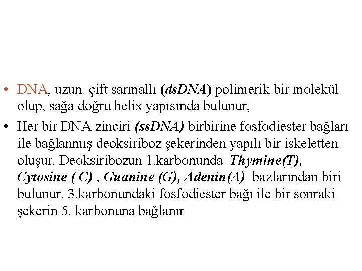  • DNA, uzun çift sarmallı (ds. DNA) polimerik bir molekül olup, sağa doğru