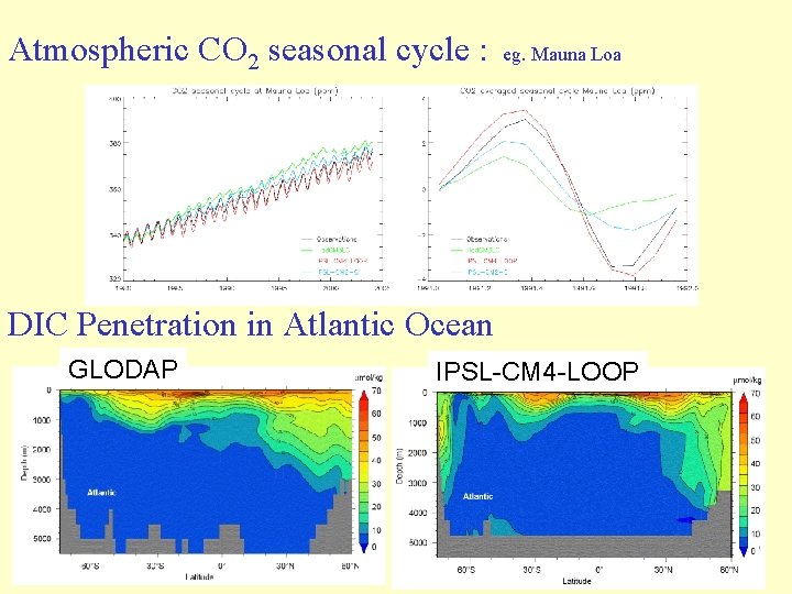 Atmospheric CO 2 seasonal cycle : eg. Mauna Loa DIC Penetration in Atlantic Ocean