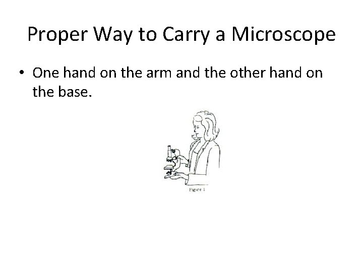 Proper Way to Carry a Microscope • One hand on the arm and the