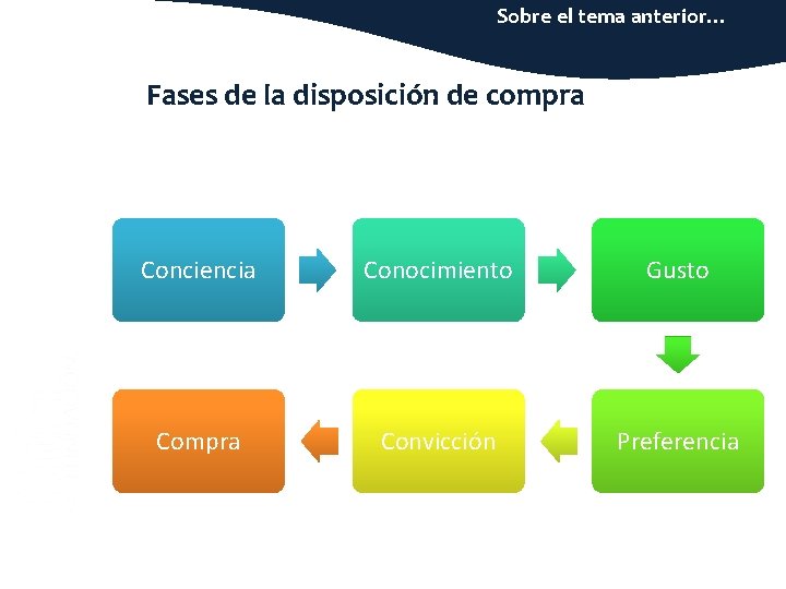 Sobre el tema anterior… Fases de la disposición de compra Conciencia Conocimiento Gusto Compra