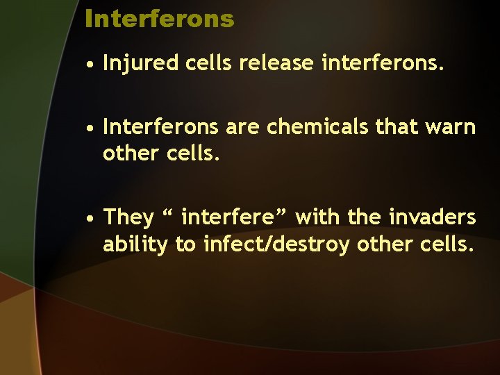 Interferons • Injured cells release interferons. • Interferons are chemicals that warn other cells.