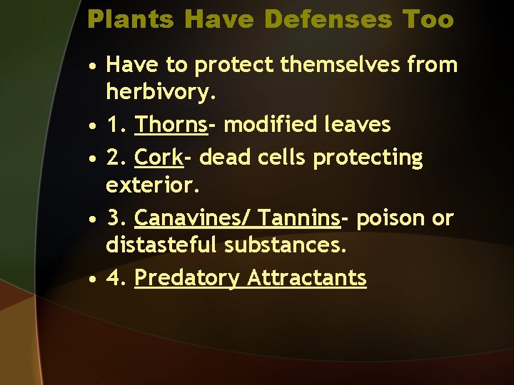 Plants Have Defenses Too • Have to protect themselves from herbivory. • 1. Thorns-