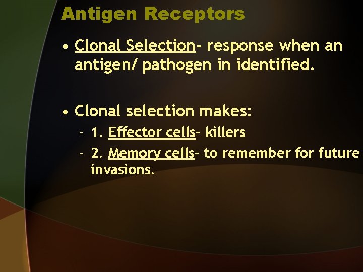 Antigen Receptors • Clonal Selection- response when an antigen/ pathogen in identified. • Clonal