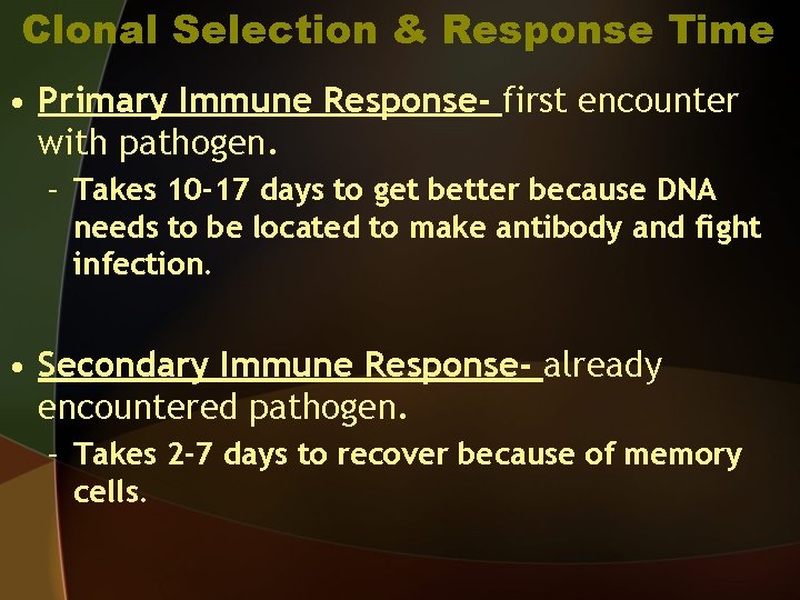 Clonal Selection & Response Time • Primary Immune Response- first encounter with pathogen. –