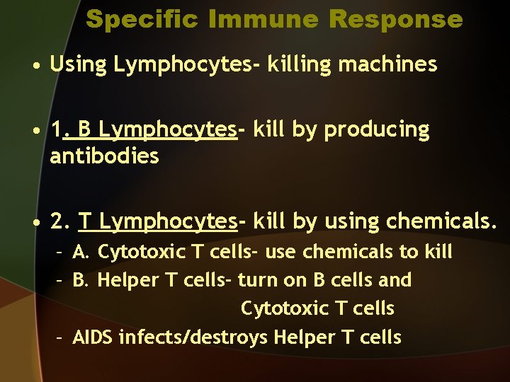 Specific Immune Response • Using Lymphocytes- killing machines • 1. B Lymphocytes- kill by