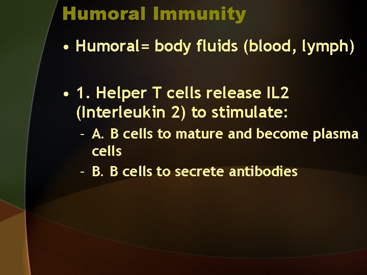 Humoral Immunity • Humoral= body fluids (blood, lymph) • 1. Helper T cells release