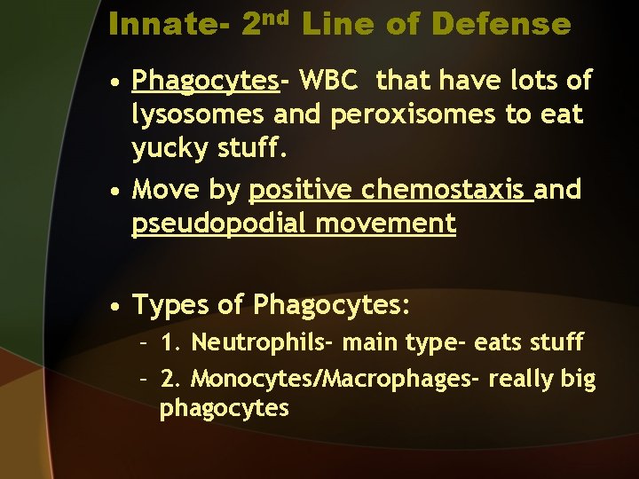 Innate- 2 nd Line of Defense • Phagocytes- WBC that have lots of lysosomes