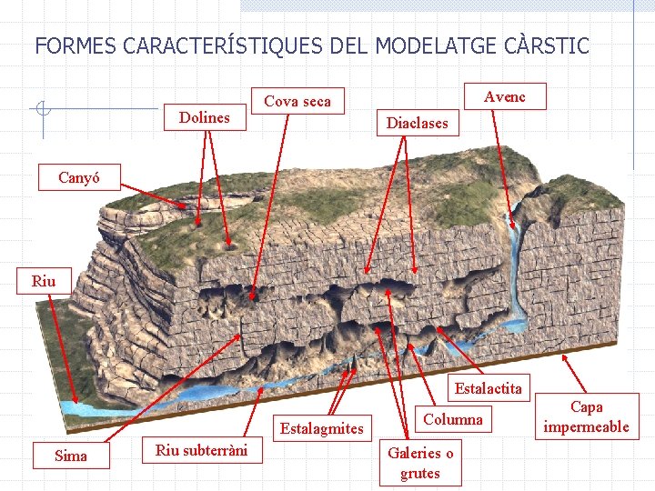 FORMES CARACTERÍSTIQUES DEL MODELATGE CÀRSTIC Dolines Avenc Cova seca Diaclases Canyó Riu Estalactita Estalagmites