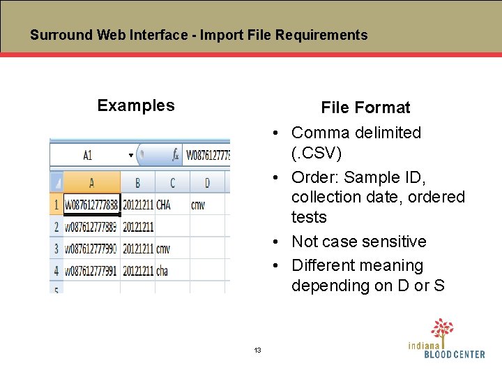 Surround Web Interface - Import File Requirements Examples File Format • Comma delimited (.