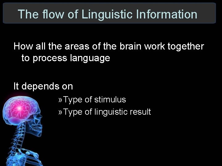 The flow of Linguistic Information How all the areas of the brain work together