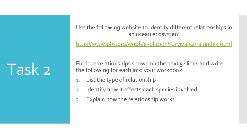 Use the following website to identify different relationships in an ocean ecosystem http: //www.