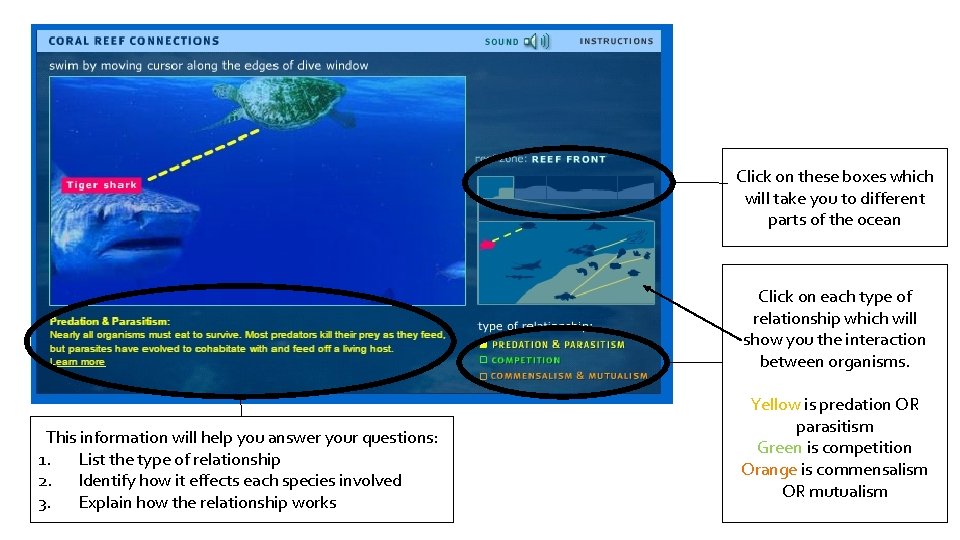 Click on these boxes which will take you to different parts of the ocean