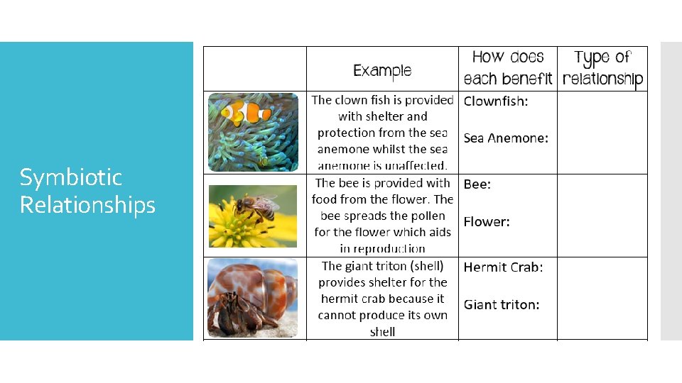 Symbiotic Relationships 