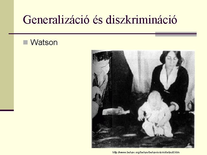 Generalizáció és diszkrimináció n Watson http: //www. behav. org/behaviorism/default. htm 