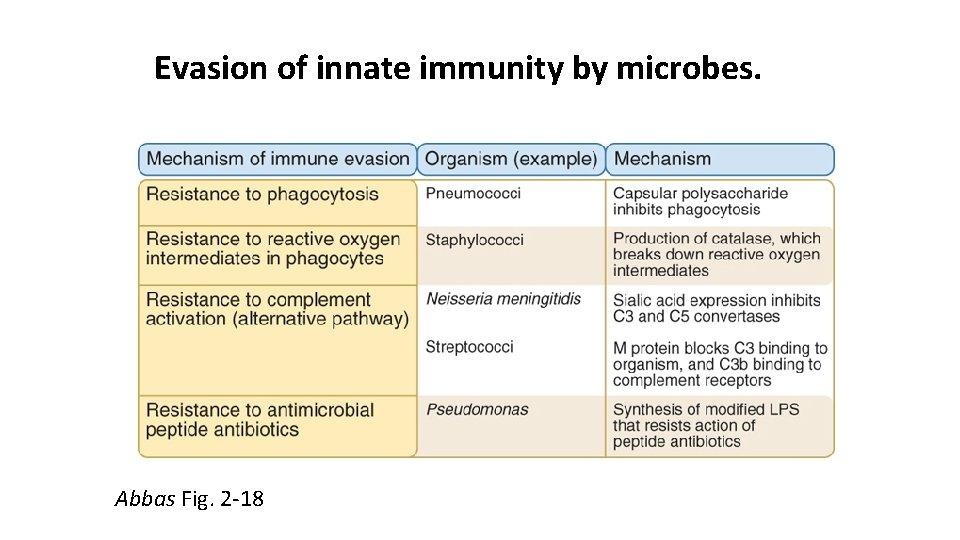 Evasion of innate immunity by microbes. Abbas Fig. 2 -18 