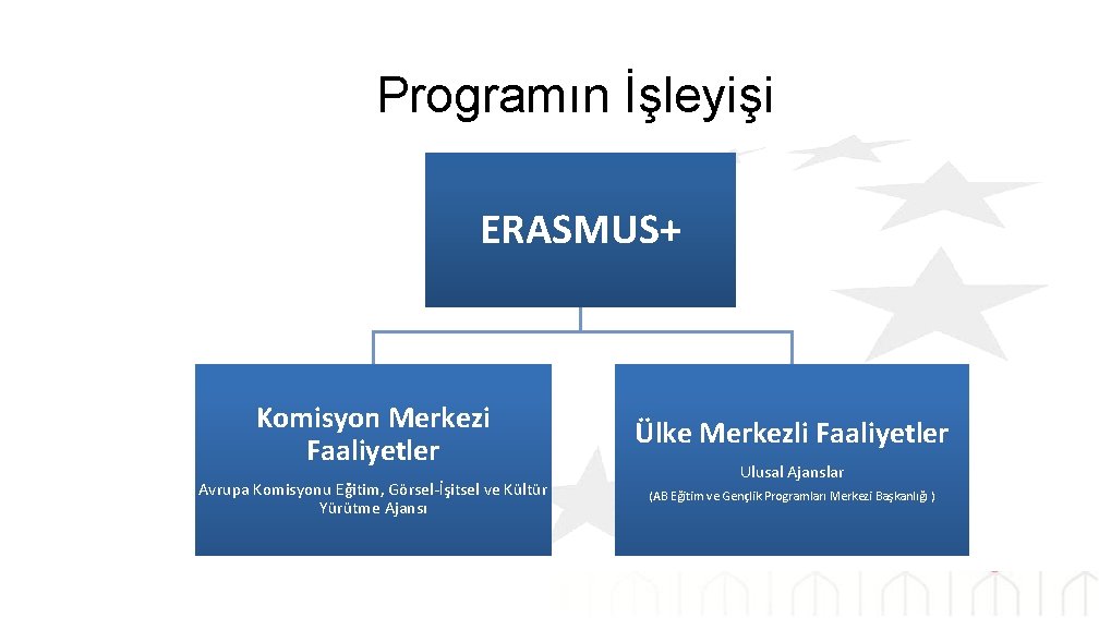Programın İşleyişi ERASMUS+ Komisyon Merkezi Faaliyetler Ülke Merkezli Faaliyetler Avrupa Komisyonu Eğitim, Görsel-İşitsel ve