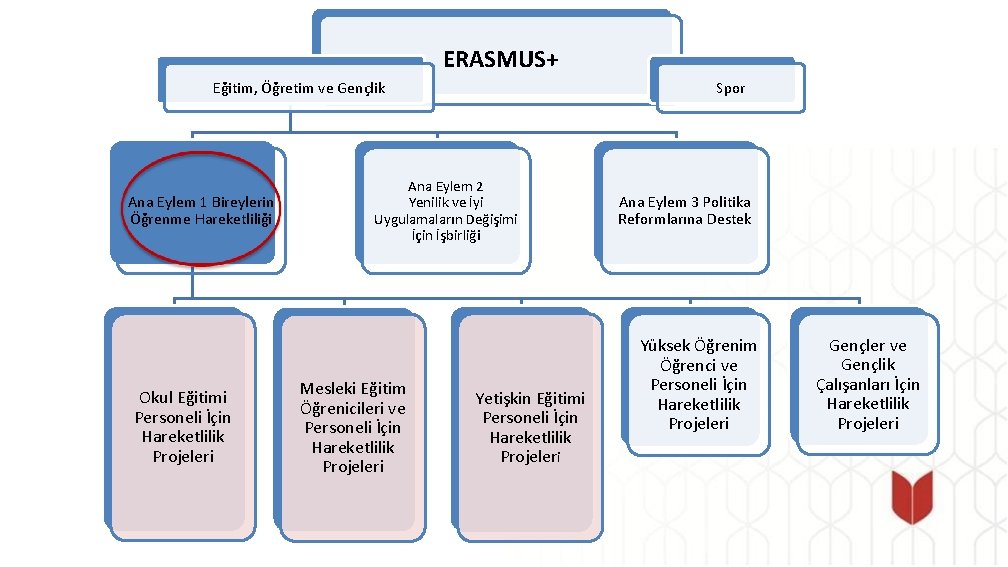 ERASMUS+ Eğitim, Öğretim ve Gençlik Ana Eylem 1 Bireylerin Öğrenme Hareketliliği Okul Eğitimi Personeli