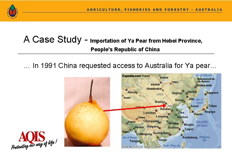 A Case Study - Importation of Ya Pear from Hebei Province, People’s Republic of