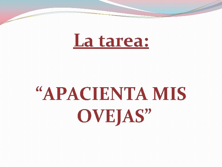 La tarea: “APACIENTA MIS OVEJAS” 