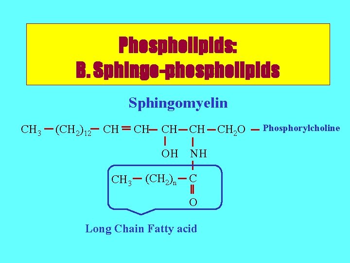 Phospholipids: B. Sphingo-phospholipids Sphingomyelin CH 3 (CH 2)12 CH CH 3 CH CH CH