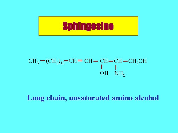 Sphingosine CH 3 (CH 2)12 CH CH OH NH 2 CH 2 OH Long