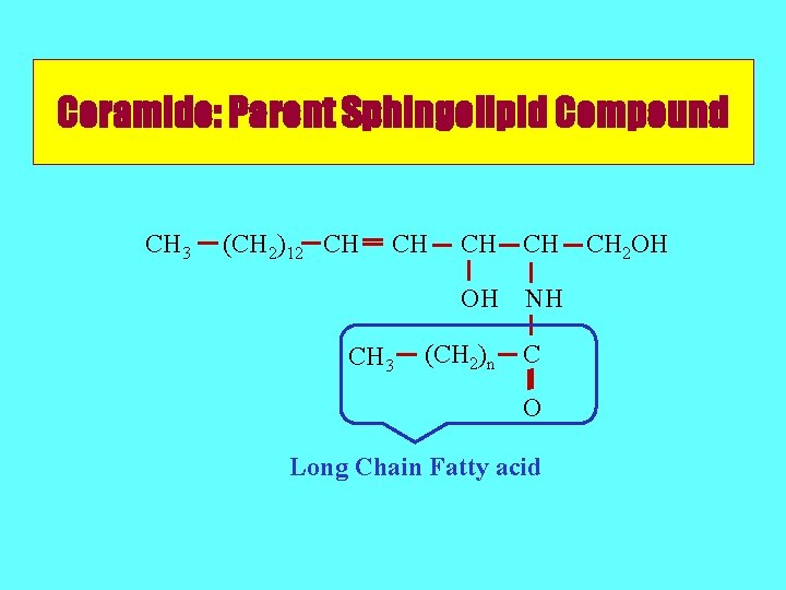 Ceramide: Parent Sphingolipid Compound CH 3 (CH 2)12 CH CH CH 3 CH CH