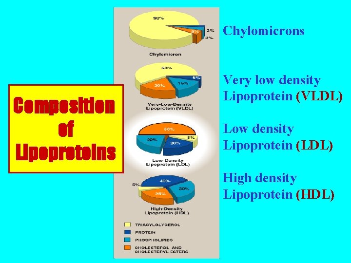 Chylomicrons Composition of Lipoproteins Very low density Lipoprotein (VLDL) Low density Lipoprotein (LDL) High